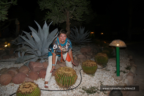 photo 487864