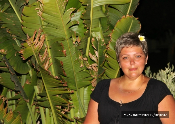 photo 872741