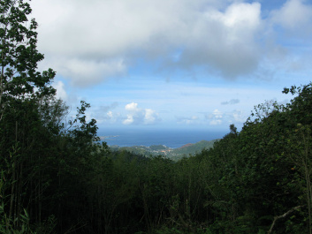 photo 453898