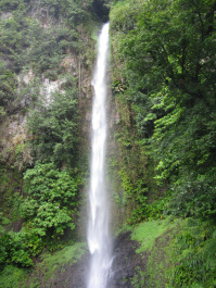 photo 453901