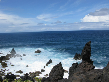 photo 453871