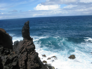 photo 453872