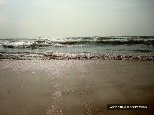 photo 14562