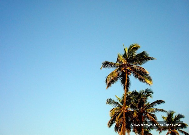 photo 14574