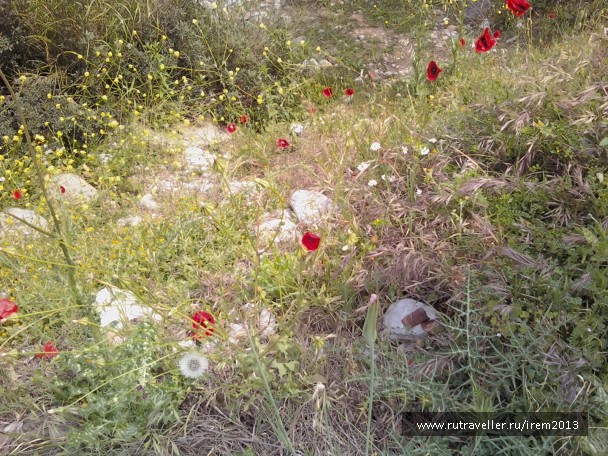 photo 401261
