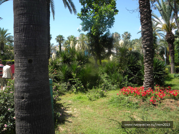 photo 487509