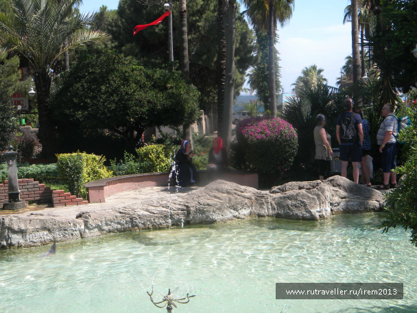 photo 487512