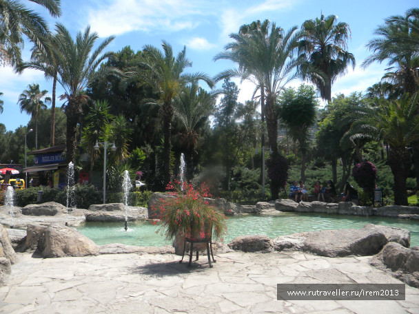 photo 487515