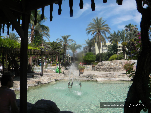 photo 487516