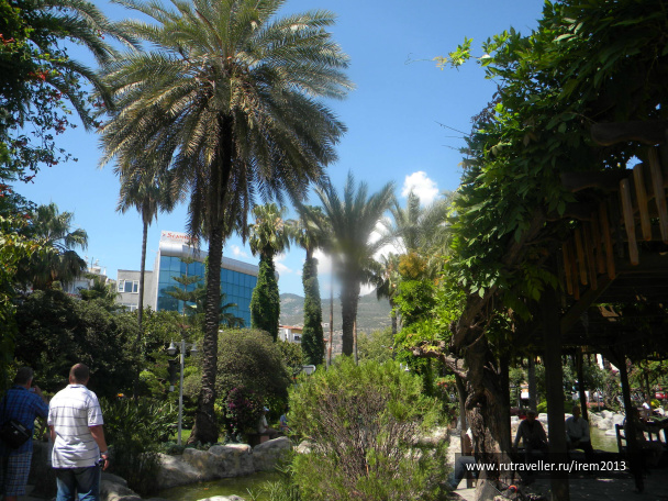 photo 487517