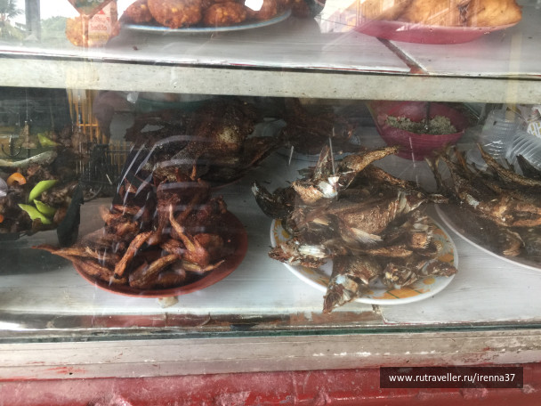 photo 1483993