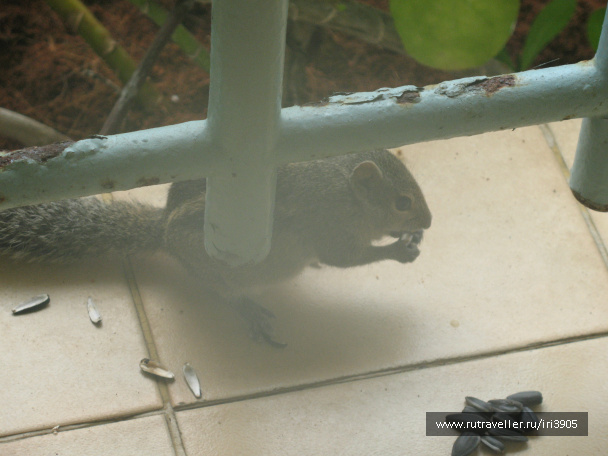 photo 380876