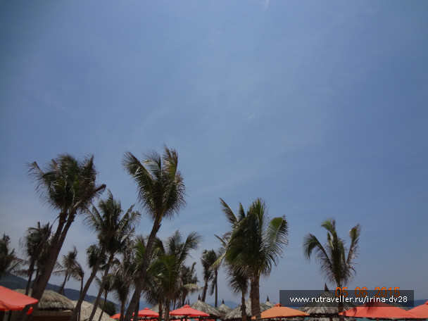photo 1035745