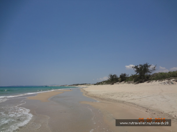 photo 1035754