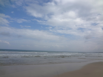 photo 709277