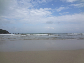 photo 709278