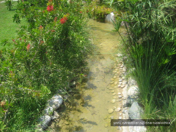 photo 452181