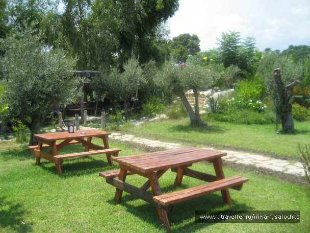 photo 452184