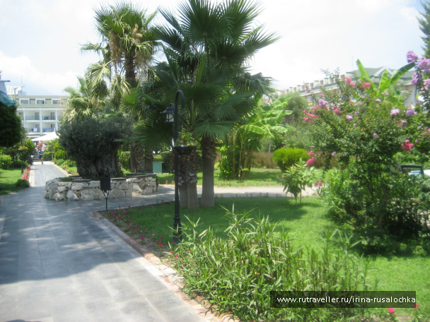 photo 452201