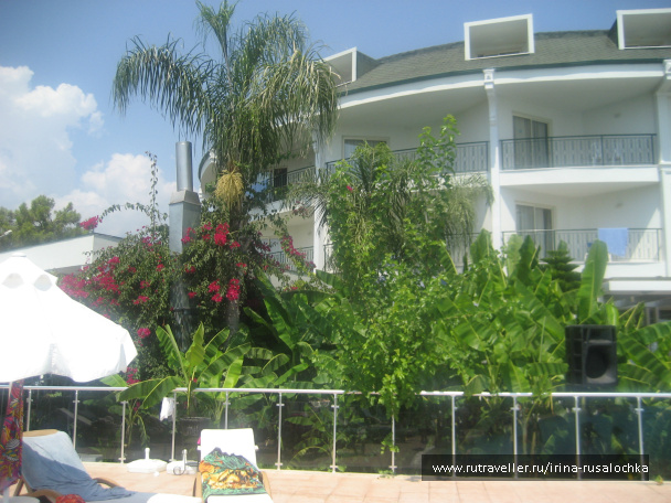 photo 452253