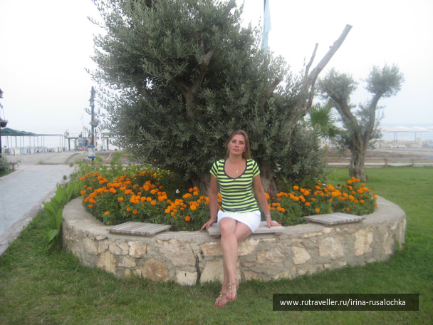 photo 452336