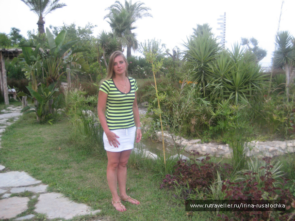 photo 452341