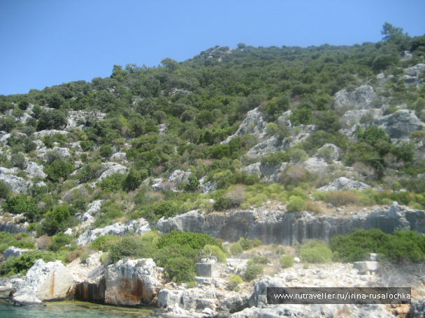 photo 452371