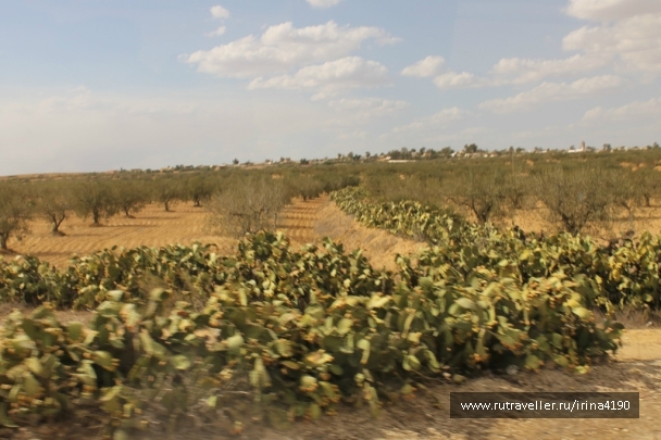 photo 904784