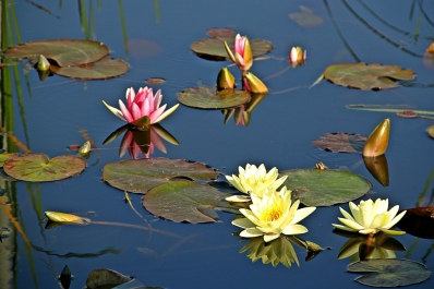 photo 872409