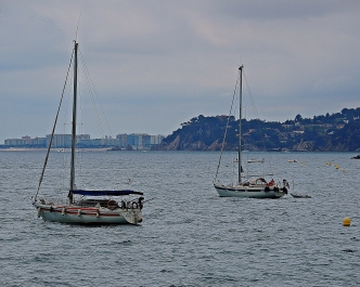 photo 952963