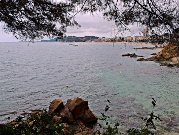 photo 954247