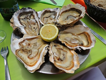 photo 930061