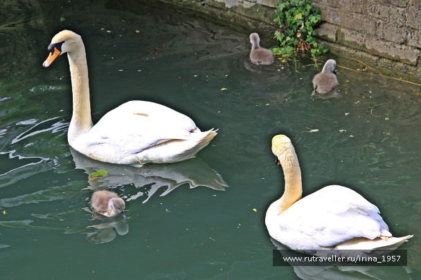photo 904918