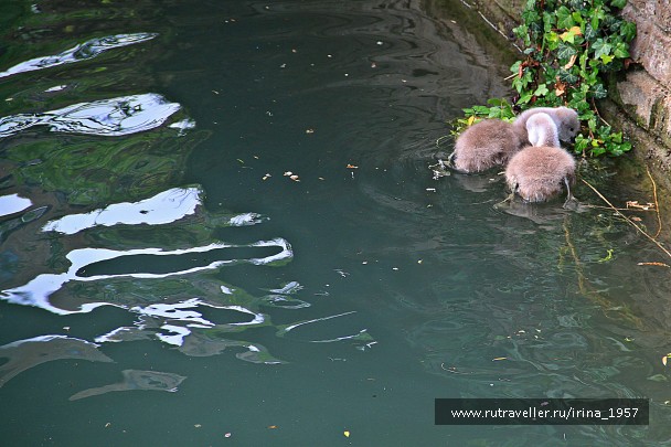 photo 904919