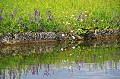 photo 936913