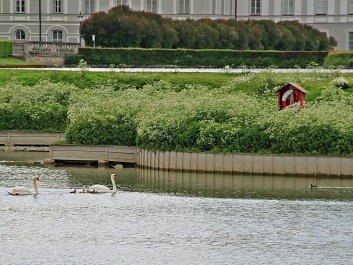 photo 940791