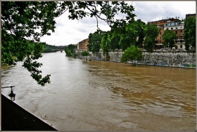 photo 917161