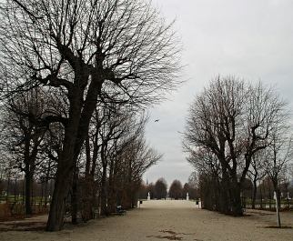 photo 932309
