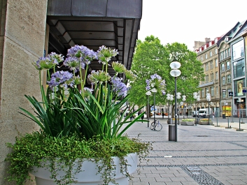 photo 969797