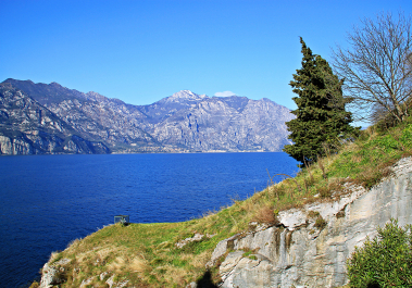 photo 1246969