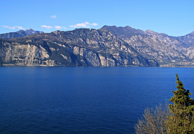 photo 1247417