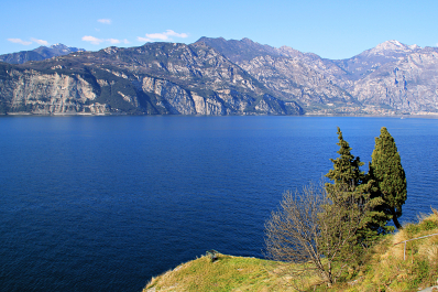 photo 1247420