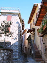 photo 1247421
