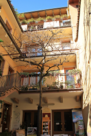 photo 1251103