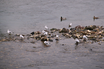 photo 994750