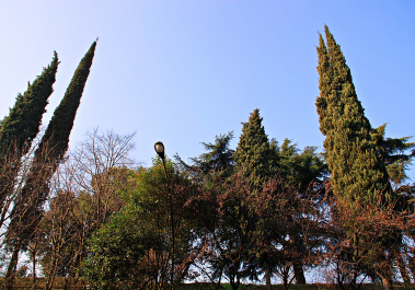 photo 1027445