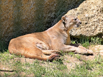 photo 1037982