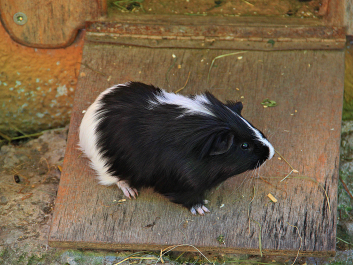 photo 1058691