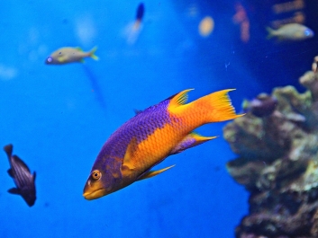 photo 1021922