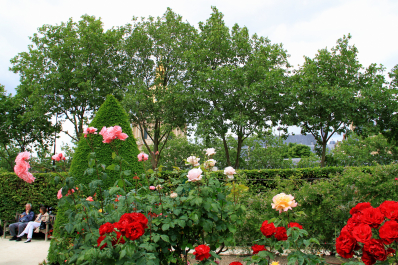 photo 1036714